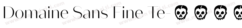 Domaine Sans Fine Te字体转换